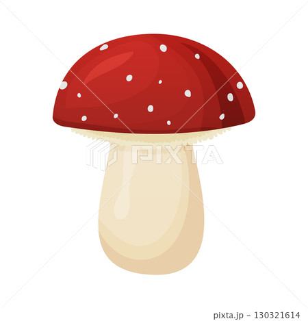 Red mushroom Amanita isolated on white background Red mushroom Amanita isolated on white background 130321614