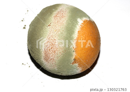 Fruit mould and spores on an over ripe rotten orange 130321763