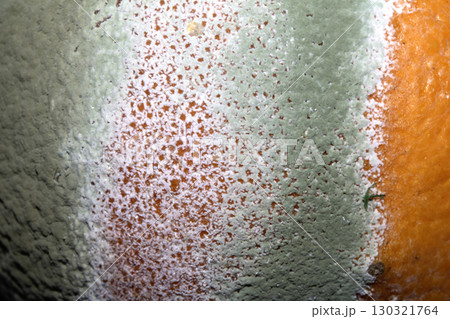 Fruit mould and spores on an over ripe rotten orange Fruit mould and spores on an over ripe rotten orange 130321764