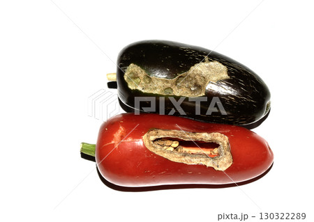 Home grown chilli pepper vegetable wonky and damaged eaten by slugs and pests ruined 130322289