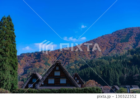 【世界遺産】紅葉真っ盛りの白川郷・三連合掌【岐阜県】 【世界遺産】紅葉真っ盛りの白川郷・三連合掌【岐阜県】 130322352