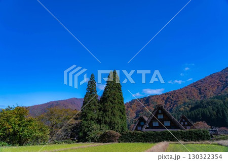 【世界遺産】紅葉真っ盛りの白川郷・三連合掌【岐阜県】 【世界遺産】紅葉真っ盛りの白川郷・三連合掌【岐阜県】 130322354