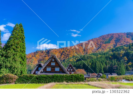 【世界遺産】紅葉真っ盛りの白川郷・三連合掌【岐阜県】 【世界遺産】紅葉真っ盛りの白川郷・三連合掌【岐阜県】 130322362
