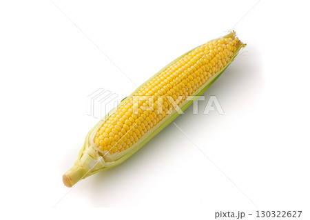 白背景と北海道産のとうもろこし 130322627