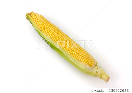 白背景と北海道産のとうもろこし 130322628