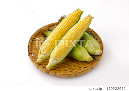 白背景と北海道産のとうもろこし 130322632