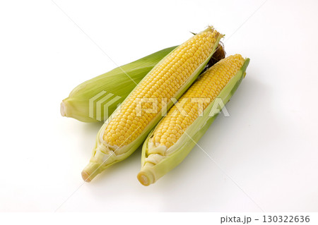白背景と北海道産のとうもろこし 白背景と北海道産のとうもろこし 130322636