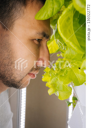 Close-up face of home gardening enthusiast inspecting and smelling fresh lettuce leaf growing in vertical hydroponic farm setup, enjoying green of labor and benefits of sustainable agriculture. 130322772