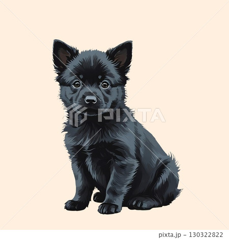 スキッパーキの子犬がカメラ目線で座る 130322822