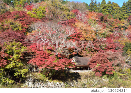 秋　香嵐渓 130324814