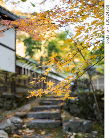 紅葉と石階段と落ち葉 130324859