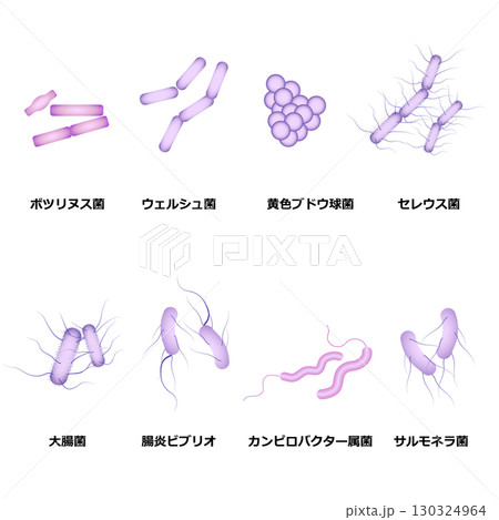 細菌性食中毒の細菌 130324964