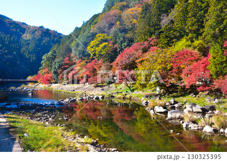 秋　香嵐渓 130325395