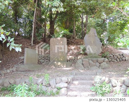 谷保天満宮 130325405