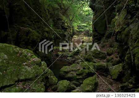 奥田縄の滝(福井県小浜市奥田縄) 奥田縄の滝(福井県小浜市奥田縄) 130325425
