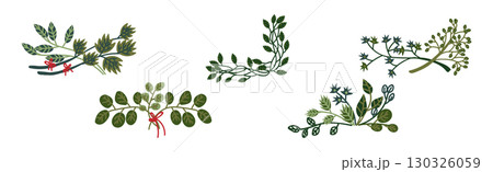 Decorative Twig and Branch Border and Element Vector Set 130326059