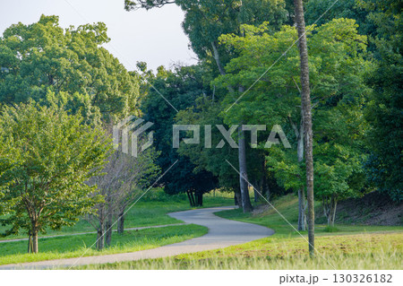 緑に包まれた静かな曲がり道 130326182