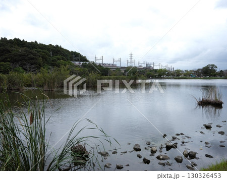 大百池散策 130326453