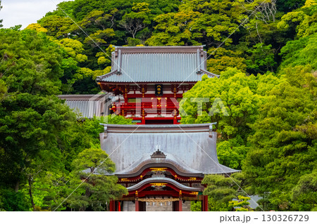 鶴岡八幡宮 鶴岡八幡宮 130326729