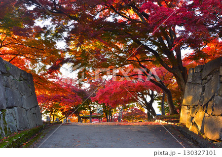 秋 盛岡城跡公園 秋 盛岡城跡公園 130327101