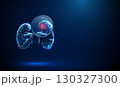 Kidney under magnifying glass with red spot inside Inflammation, infection, kidney disease, medical diagnosis, nephrology research, health monitoring concept. 130327300