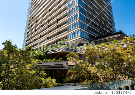 武蔵小金井シティクロスの緑を眺める　プラウドタワー武蔵小金井　東京都小金井市本町 130327479