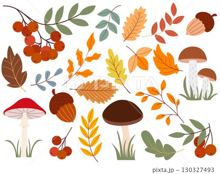 Autumn set of natural forest elements Autumn set of natural forest elements 130327493