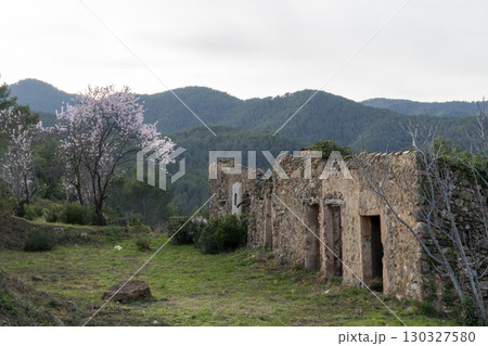 A stone building with a large tree in front of it A stone building with a large tree in front of it 130327580