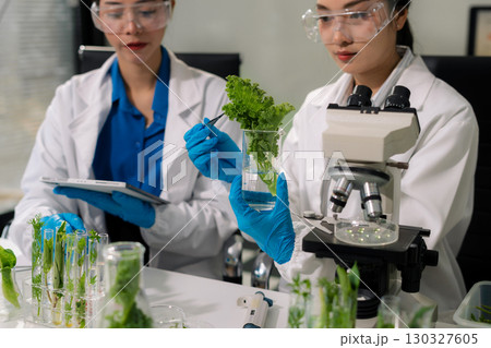 Team microbiologists and nutrition experts analyze molecular samples in advanced food science labs. Team microbiologists and nutrition experts analyze molecular samples in advanced food science labs. 130327605