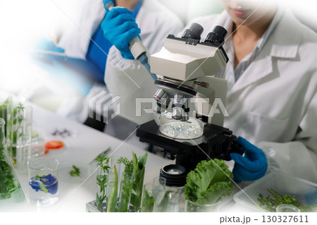 Team microbiologists and nutrition experts analyze molecular samples in advanced food science labs. 130327611