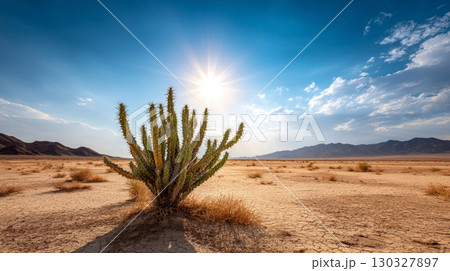 Free space nature background your decor. Blurred beach background green coconut palm trees. Sunny day blue sky and sunlight. Summer time. Beautiful nature sea ocean mountains and landscape, scenery 130327897