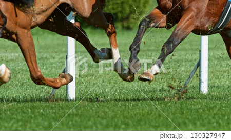 Horse racing outdoor derby in detail of horses legs. Outdoor sport and competition. Horse racing outdoor derby in detail of horses legs. Outdoor sport and competition. 130327947