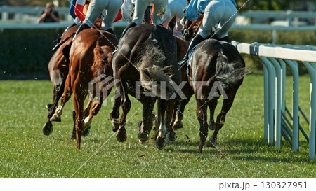 Horse racing outdoor derby with jockeys heading to finish line. Outdoor sport and competition. Horse racing outdoor derby with jockeys heading to finish line. Outdoor sport and competition. 130327951