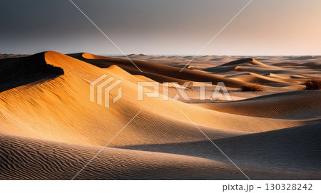 Free space nature background your decor. Blurred beach background green coconut palm trees. Sunny day blue sky and sunlight. Summer time. Beautiful nature sea ocean mountains and landscape, scenery 130328242