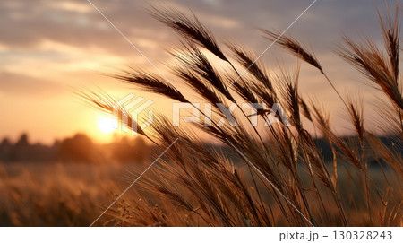 Free space nature background your decor. Blurred beach background green coconut palm trees. Sunny day blue sky and sunlight. Summer time. Beautiful nature sea ocean mountains and landscape, scenery 130328243