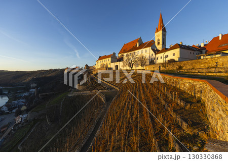 Znojmo vineyard and Church of Saint Nicholas illuminating during sunset golden hour in Czechia 130330868