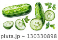 Cumumber vegetable isolated on white background. 130330898