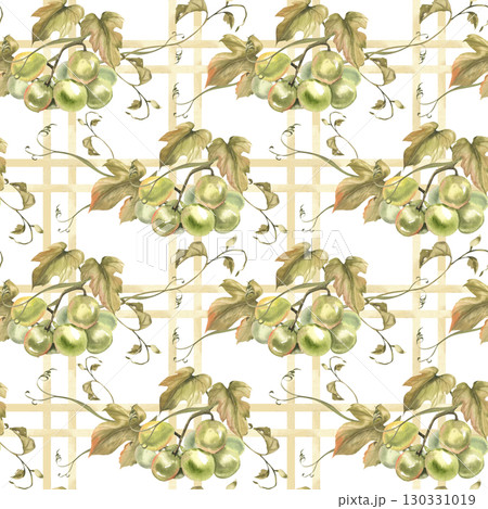 Green grapes vine with leaves botanical seamless pattern on beige vintage plaid. Hand drawn watercolor summer fruits on geometric background for kitchen rustic textile,fabric design,Wine ingredient 130331019