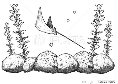 Sea bottom with manta rays, stones and seaweed. Hand drawn vector illustration. Sea bottom with manta rays, stones and seaweed. Hand drawn vector illustration. 130331505