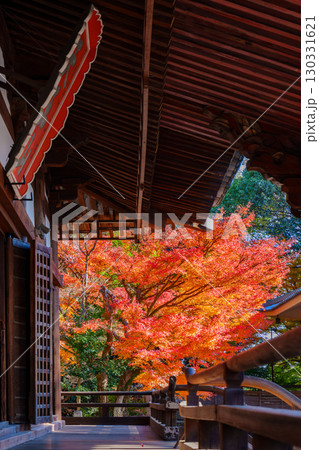 紅葉に包まれた宝積寺 130331621
