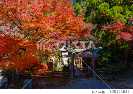 紅葉に包まれた宝積寺 紅葉に包まれた宝積寺 130331622