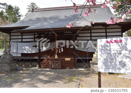 長野県上田市 上田城跡公園の真田神社社殿と陽光桜案内板 長野県上田市 上田城跡公園の真田神社社殿と陽光桜案内板 130331705