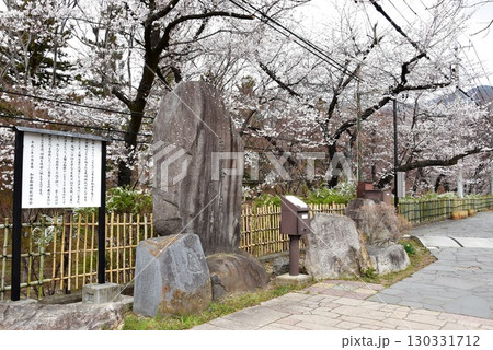 長野県上田市 二の丸通りと上田城跡公園の満開桜 長野県上田市 二の丸通りと上田城跡公園の満開桜 130331712
