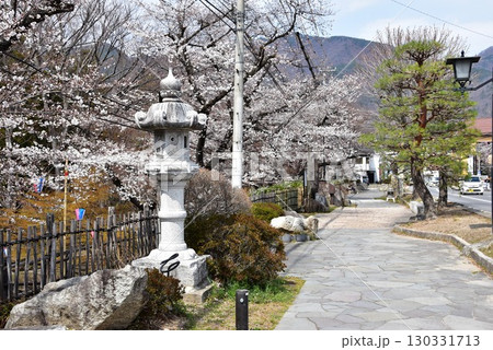 長野県上田市 二の丸通りと上田城跡公園の満開桜 長野県上田市 二の丸通りと上田城跡公園の満開桜 130331713