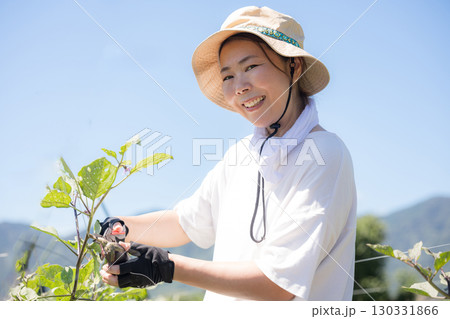 畑で野菜を収穫する女性　農家や農業で働くする人のイメージ　 130331866