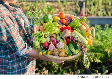 Basket with different fresh vegetables herbs in woman's hands outdoor 130331975