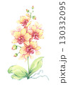 Yellow orchid watercolor illustration. Hand-painted exotic flower with buds and green leaves. Tropical floral artwork. Elegant decorative nature design. Botanical art print 130332095
