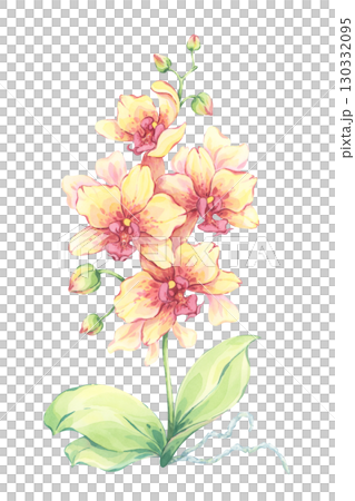 Yellow orchid watercolor illustration. Hand-painted exotic flower with buds and green leaves. Tropical floral artwork. Elegant decorative nature design. Botanical art print 130332095