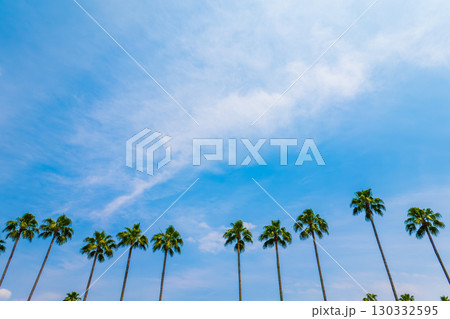 青空にヤシの木が並ぶ夏の風景 130332595