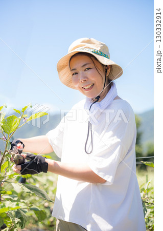 畑で野菜を収穫する女性　農家や農業で働くする人のイメージ　笑顔のクローズアップ 130332914